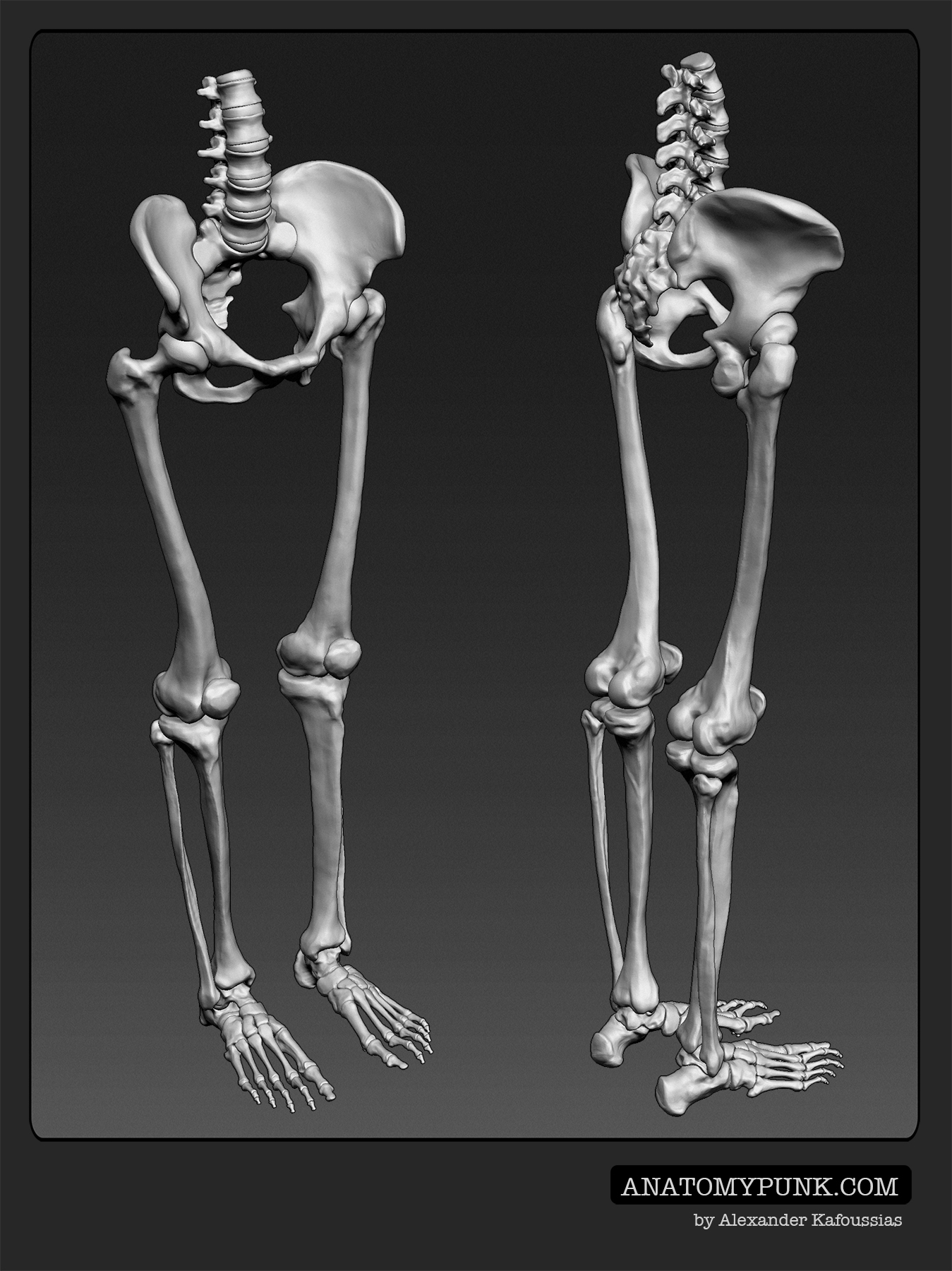 Skeleton_6