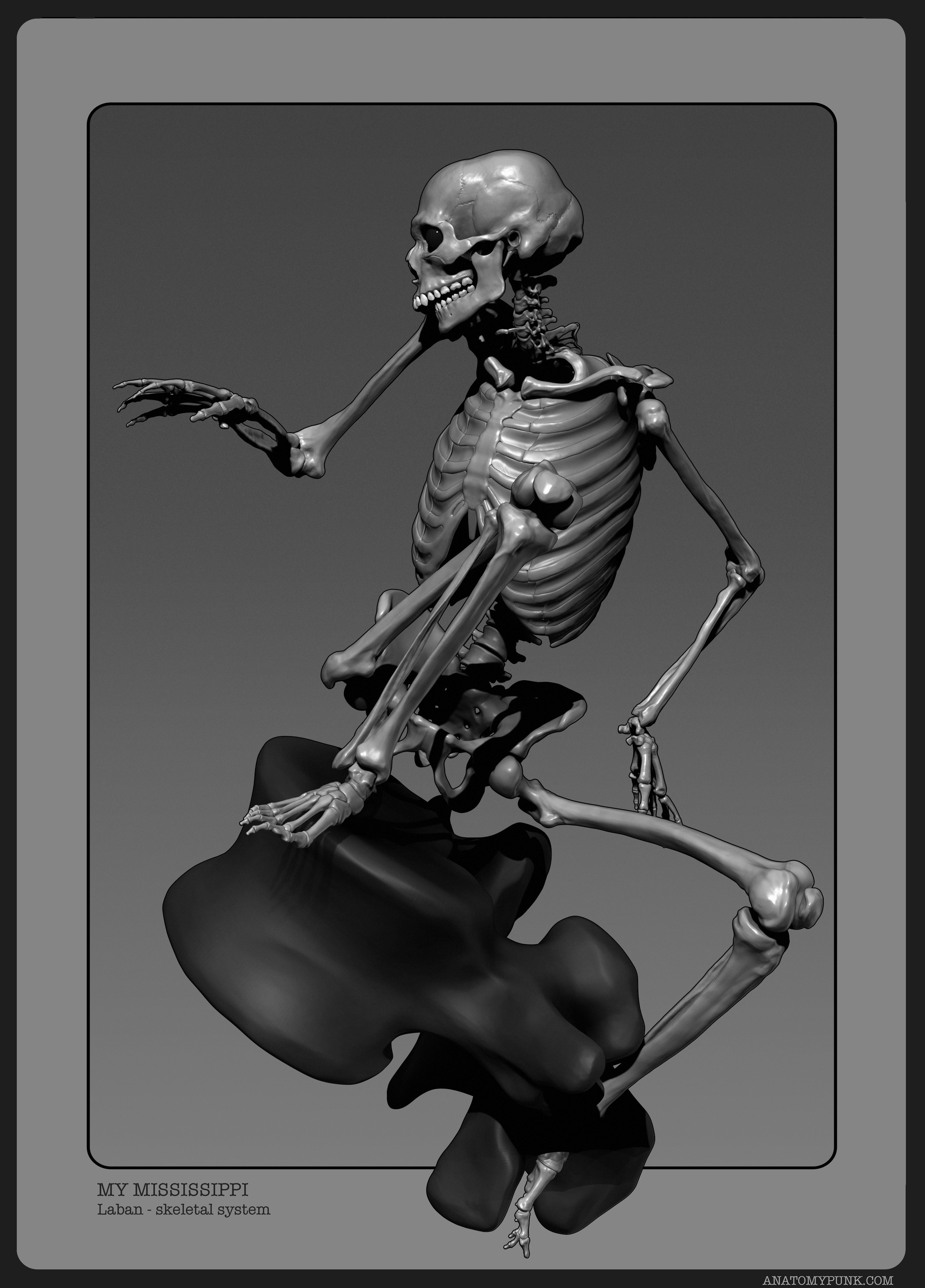 MyMississippi_Skeletal_structure_anatomypunk