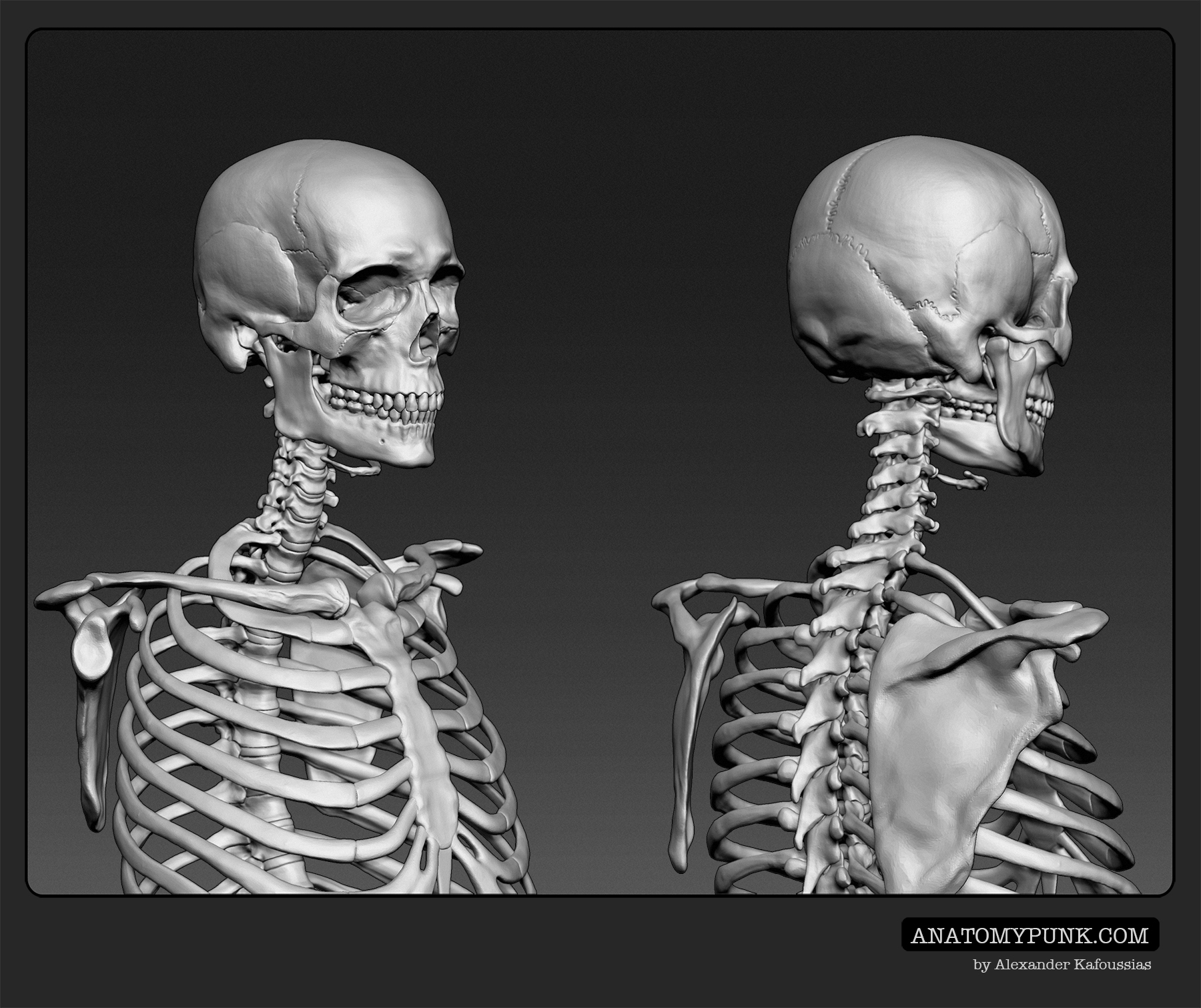 Skeleton_4