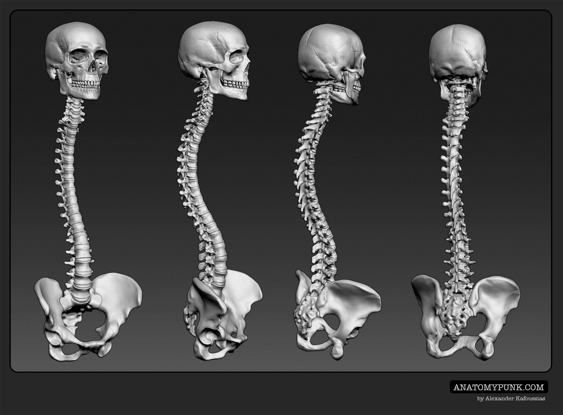 Skeleton_5
